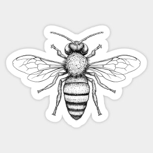 Bumble Buzz Sticker